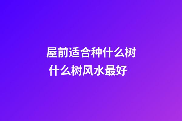 屋前适合种什么树 什么树风水最好